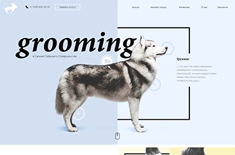 разработка сайта