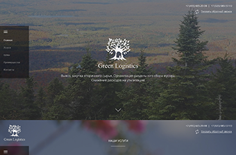 разработка сайта